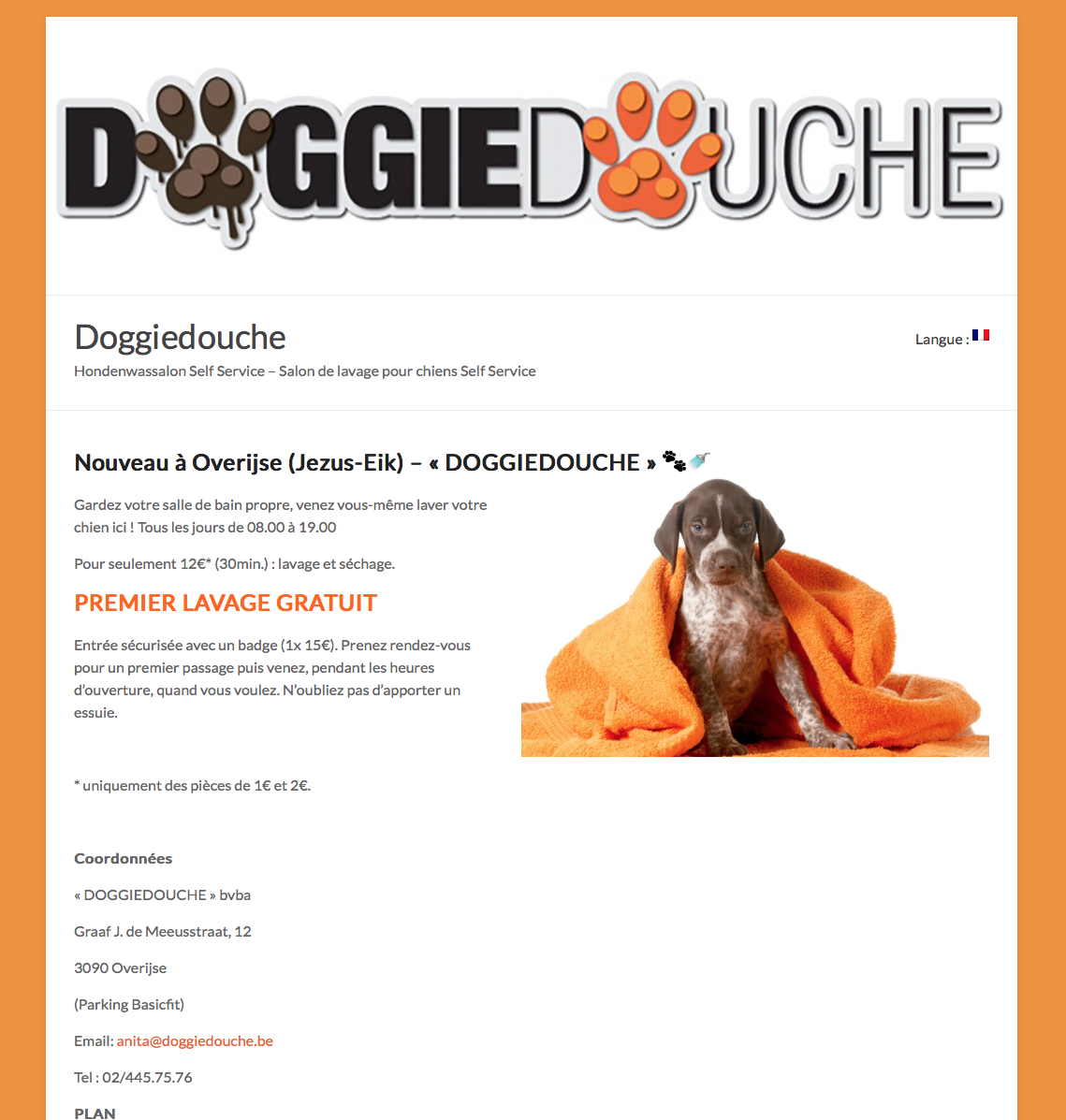 Création site web salon de toilettage pour chiens