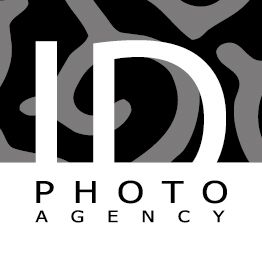 Création logo / site web agence photo
