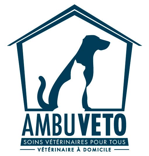 Création logo vétérinaire à domicile
