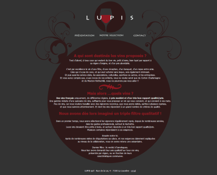 Création site web vente de vin
